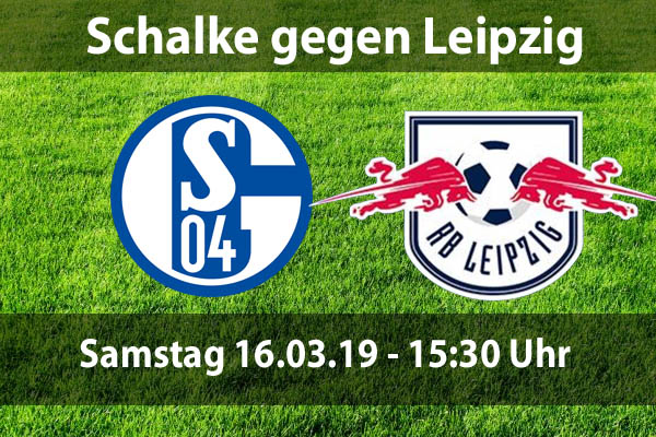Schalke 04 live erleben - 