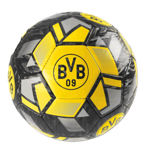 BVB Ball Dynamic Gr. 5