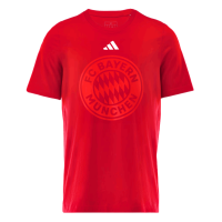 Bayern München T-Shirt Graphic DNA Erw.