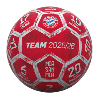 Bayern München Ball Signature 25/26