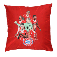 Bayern München Kissen Player 25/26