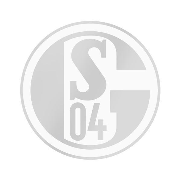 Schalke Aufkleber silber
