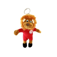 KSV Schl&uuml;sselanh&auml;nger Pl&uuml;sch Totti